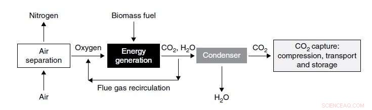 Sustainable Irrigation Limits Global BECCS Potential
