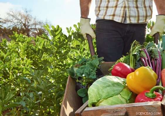 Organic Foods May Still Contain Pesticide Residues