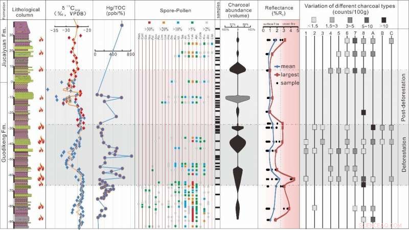 Wildfires During the Permian–Triassic Transition and Their Role in Shifting Ecosystem Vegetation