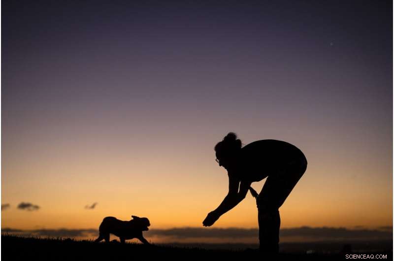 New Zealand Records Warmest June Ever, Straining Ski Resorts