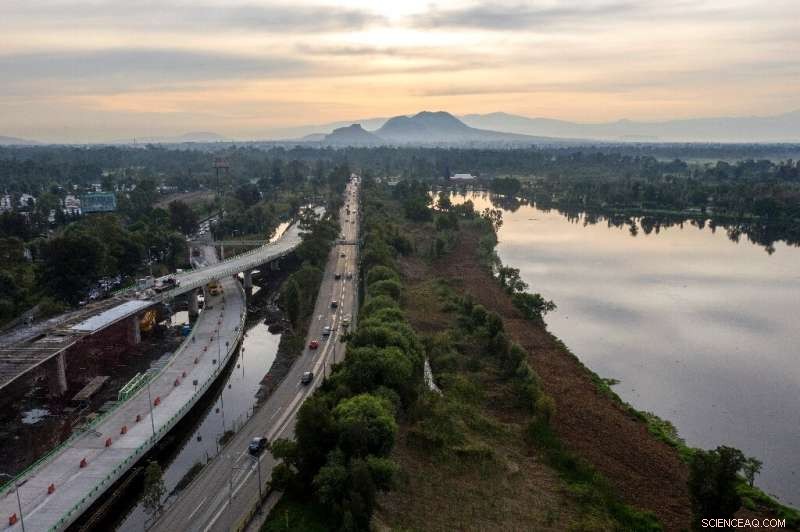 Mexico City’s Green Lung at Risk: New Bridge Project Sparks Environmental Concerns
