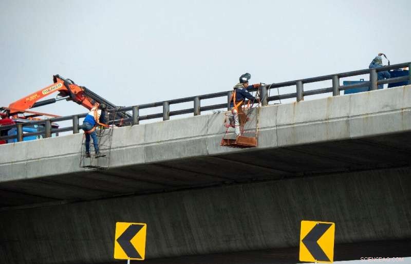 Mexico City’s Green Lung at Risk: New Bridge Project Sparks Environmental Concerns