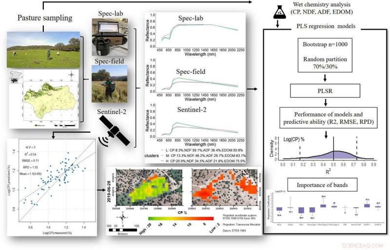 Sentinel‑2 Satellites Monitor Mediterranean Grasslands for Forage Estimation