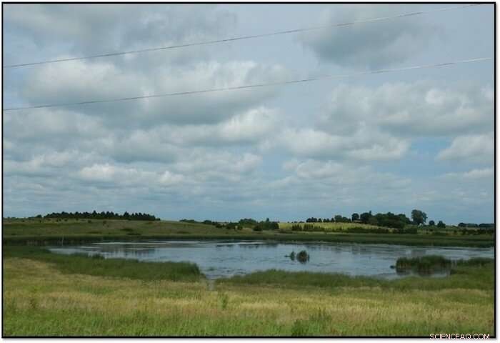 Constructed Wetlands: The Most Effective Solution to Safeguard Waterways from Agricultural Runoff