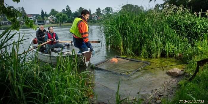 Innovative Electrolytic Oxygenation Technique Demonstrates Success in Lake Søllerød