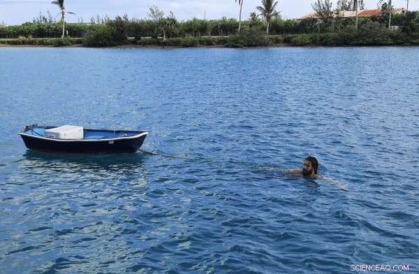 Rising Nitrous Oxide Emissions from Ocean Dead Zones Threaten Climate