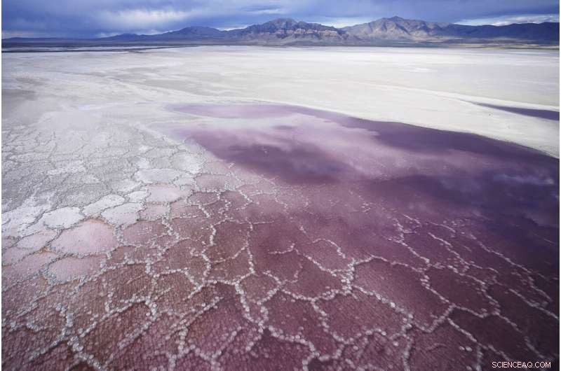Great Salt Lake Drought Threatens Wildlife and Air Quality