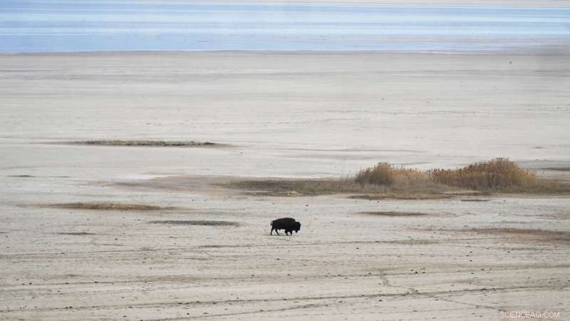 Great Salt Lake Drought Threatens Wildlife and Air Quality