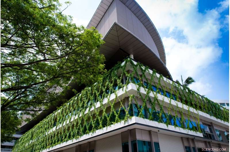Study Shows Vertical Greenery Reduces Stress: A Promising Urban Solution