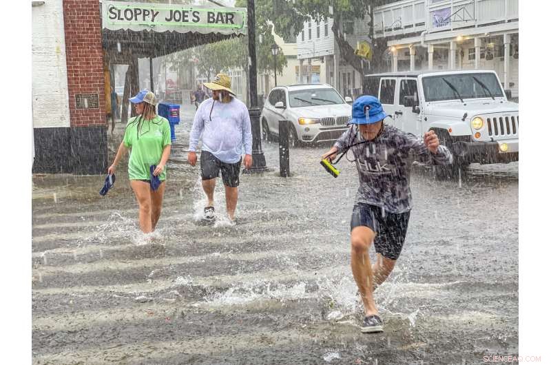 Tropical Storm Elsa Hits Coast, Targets Georgia with Heavy Rain