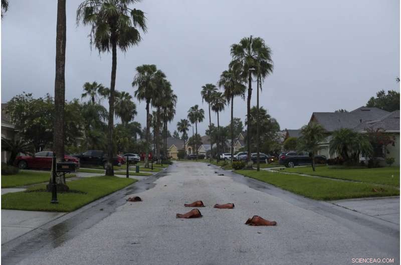 Tropical Storm Elsa Hits Coast, Targets Georgia with Heavy Rain