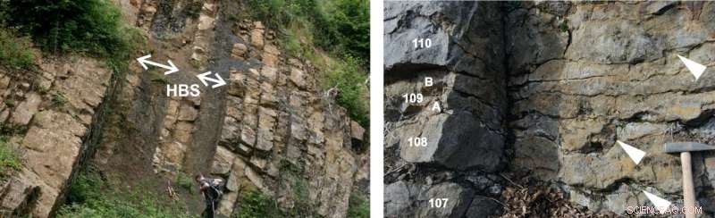 Wallonia: Setting the Global Standard for Geological Timelines