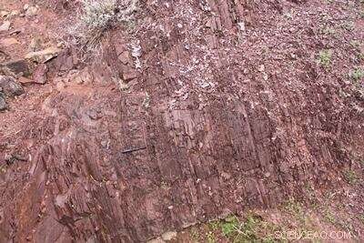 Earth’s Orbital Changes Triggered the Rise of Complex Life