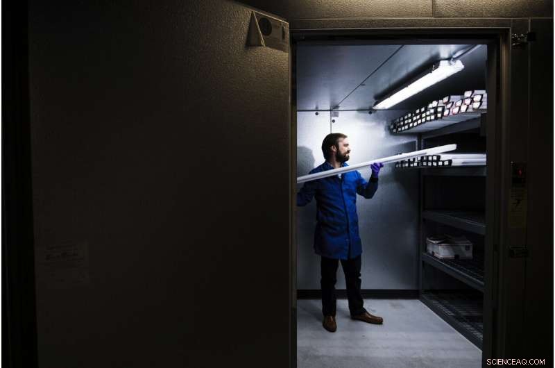 The Hidden Impact of Plastic Pollution on Earth s Carbon Cycle