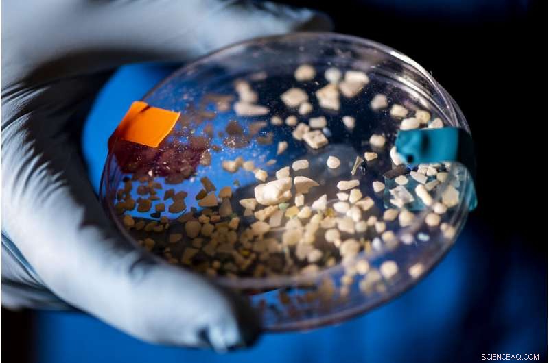 The Hidden Impact of Plastic Pollution on Earth s Carbon Cycle