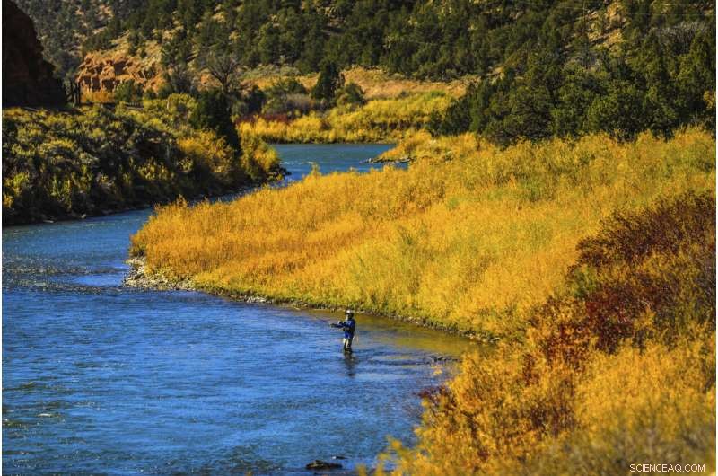Colorado River Fishing Ban Amid Drought, Heat, and Wildfire Damage