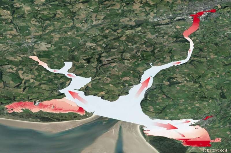 Coastal Wetlands: Nature’s Powerful Flood Defense