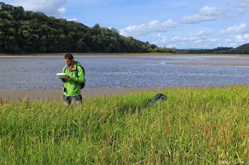 Coastal Wetlands: Nature’s Powerful Flood Defense