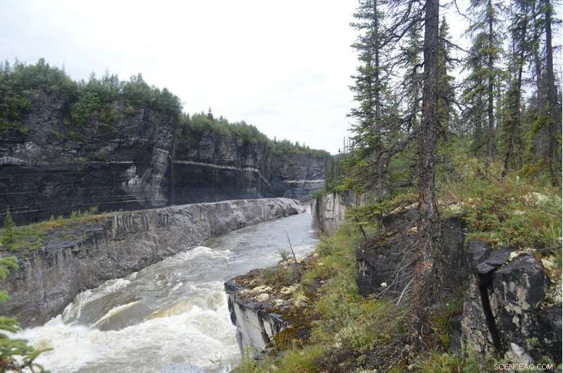 Unveiled: The Longest Continuous Paleozoic Record Unearthed in Yukon Wilderness