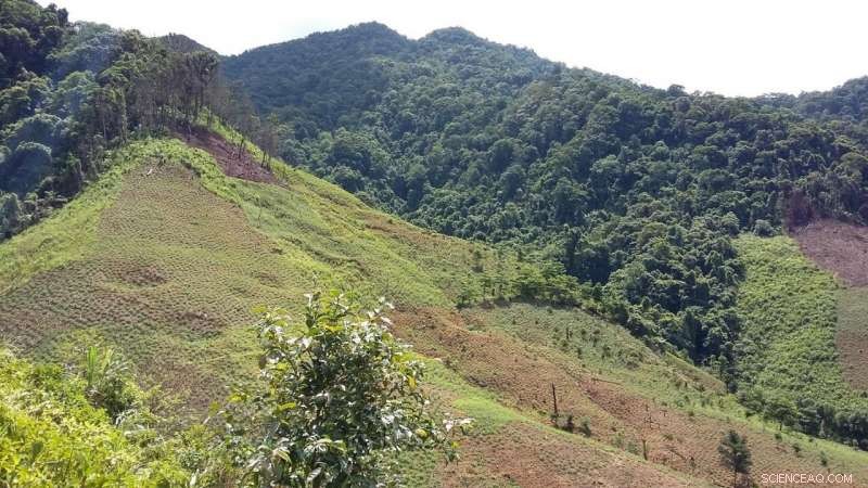 Accelerating Forest Clearance in Southeast Asia Drives Unprecedented Greenhouse Gas Emissions