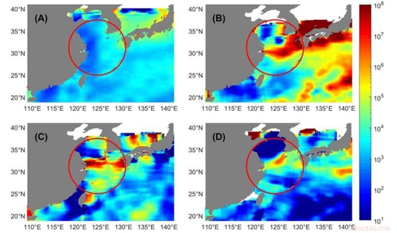 Satellite Tracking Reveals Ocean’s Tiny Plastic Debris