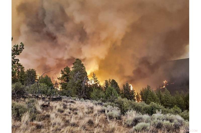 Wildfires Ravage Homes and Land Across 10 Western U.S. States
