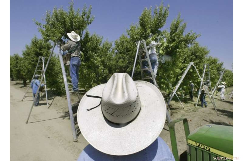 California Lawsuits Claim Pesticide Exposure Caused Brain Damage in Children