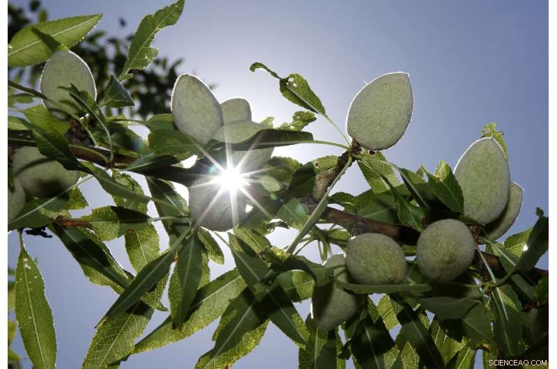 California Lawsuits Claim Pesticide Exposure Caused Brain Damage in Children
