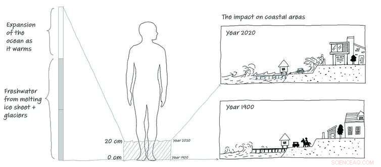 Many New Zealanders Overestimate Sea‑Level Rise, Hindering Climate Action