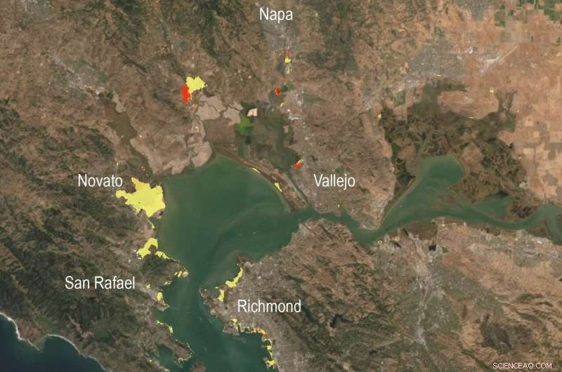 New Study Reveals Economic and Flood Impact of Sea‑Level Rise Adaptation Strategies