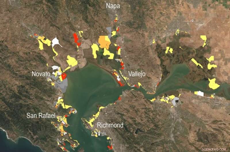 New Study Reveals Economic and Flood Impact of Sea‑Level Rise Adaptation Strategies