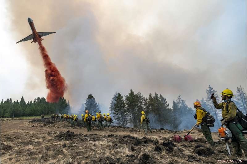 Thousands of Firefighters Confront Major Wildfires Across the Western United States