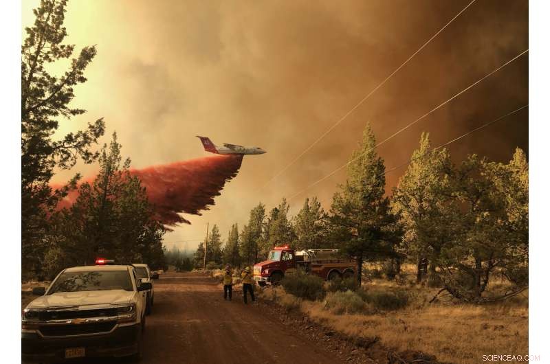 Thousands of Firefighters Confront Major Wildfires Across the Western United States