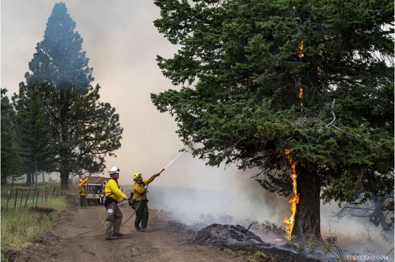 Thousands of Firefighters Confront Major Wildfires Across the Western United States