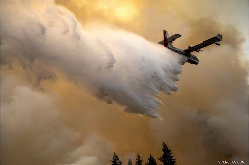 Thousands of Firefighters Confront Major Wildfires Across the Western United States