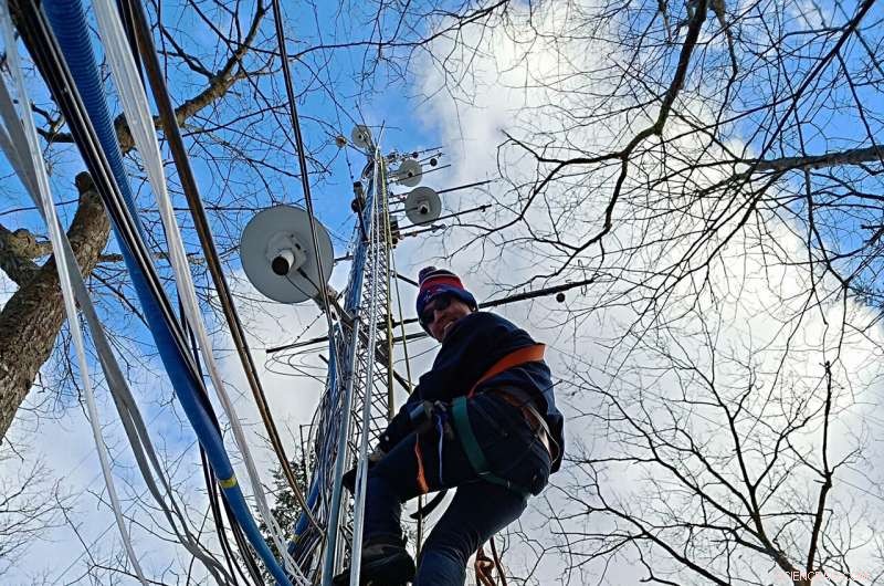 New Study Reveals Forests Are Major Global Contributors to Toxic Mercury Deposition