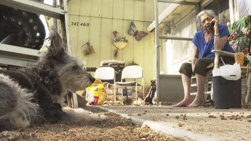 California Fire Ignites Near Site of Nation s Deadliest Wildfire