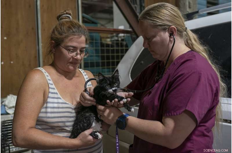 California Fire Ignites Near Site of Nation s Deadliest Wildfire