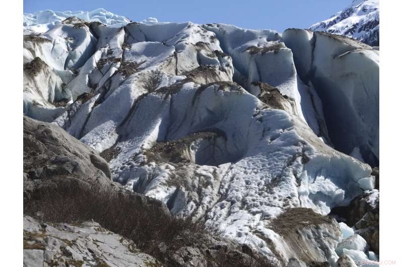 U.S. Halts Major Old‑Growth Timber Sales in Alaska’s Tongass National Forest