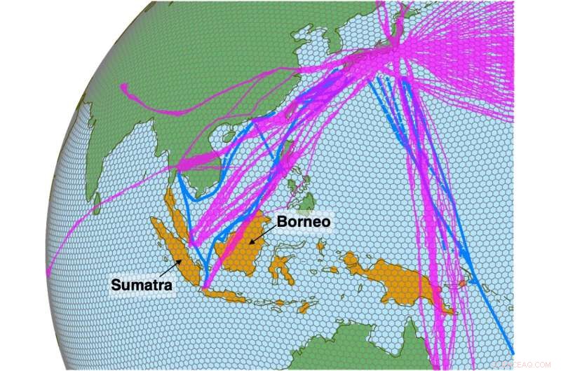 Scientists Quantify Record-High Carbon Emissions from El Nino‑Driven Biomass Fires