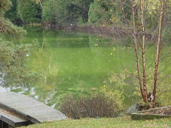 Summer Heatwaves Threaten Lakes and Rivers: Rising Temperatures Impact Waterways