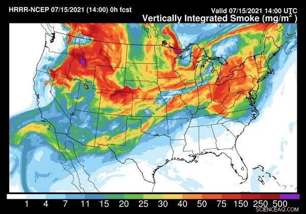 What Are the Toxic Components of Wildfire Smoke? A Toxicologist’s Expert Analysis