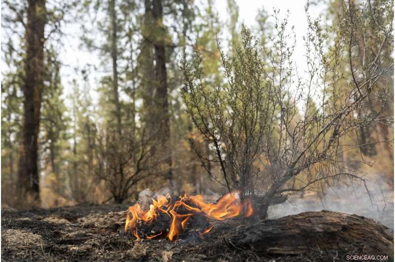 Oregon Fire Escalates: Evacuations Grow as Flames Spread Unpredictably