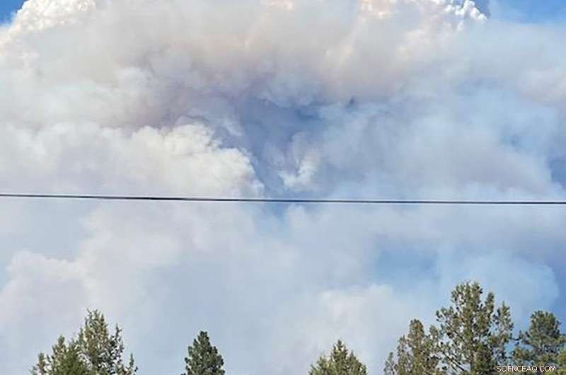 Oregon Wildfire Rages, Destroying Dozens of Homes and Expanding Rapidly