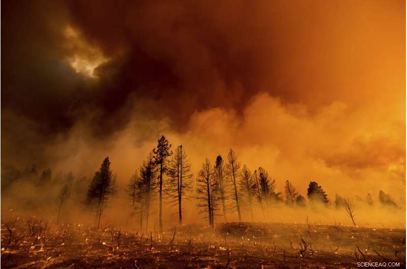 Oregon Wildfire Rages, Destroying Dozens of Homes and Expanding Rapidly