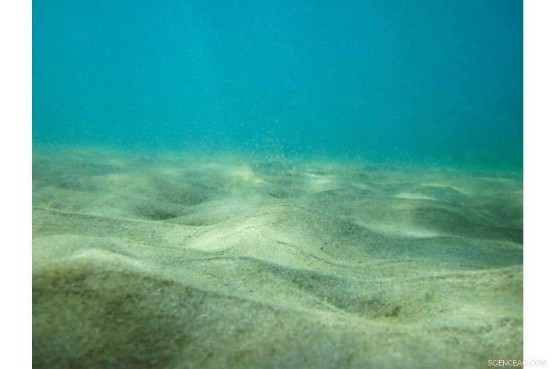 Scientists Unveil Mechanisms Behind Deep Pacific Ventilation