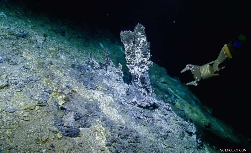 Study Reveals Key Role of Deep-Sea Microbial Predators in Hydrothermal Vent Ecosystems