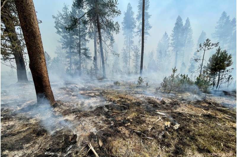 Oregon’s Largest Fire Escalates, Forces Wildlife Station Evacuation