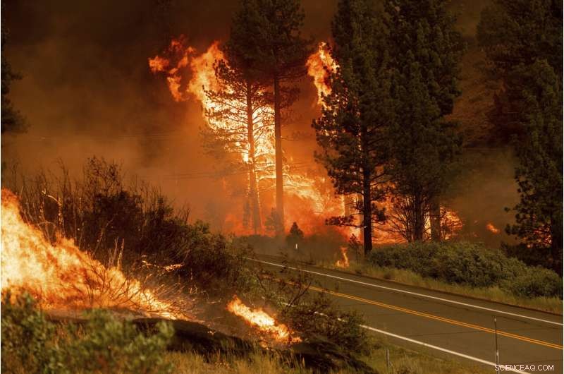 California Wildfire Near Lake Tahoe Spurs Evacuation Orders; Oregon Blaze Escalates