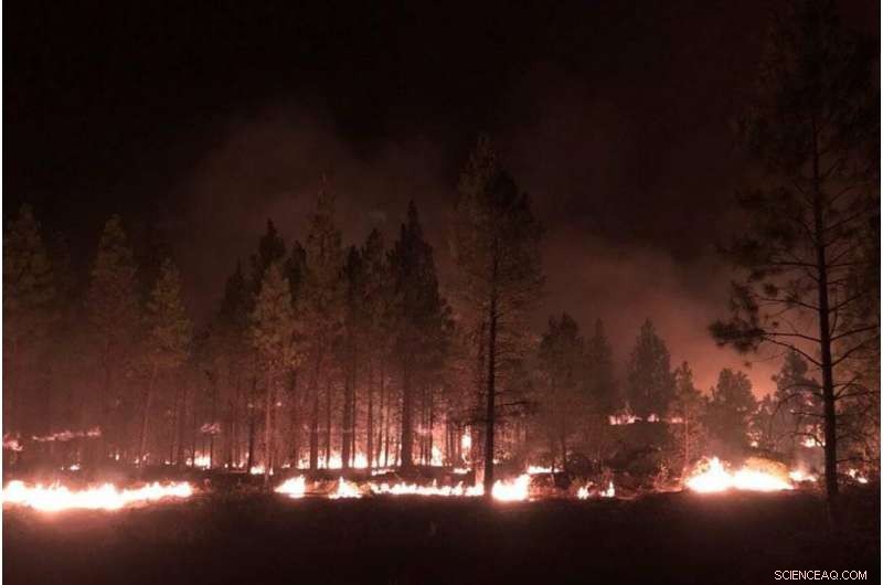California Wildfire Near Lake Tahoe Spurs Evacuation Orders; Oregon Blaze Escalates